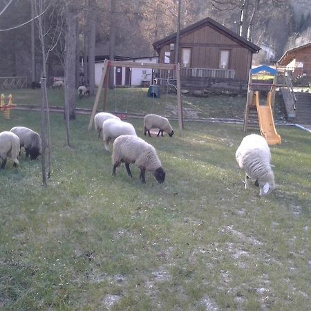 B&B La Miando Salza di Pinerolo エクステリア 写真